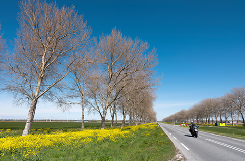 Motorrijder op een van de mooiste motorroutes van Nederland met berm die in bloei staat